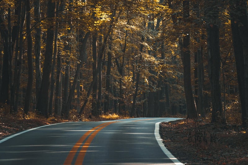 City walking path